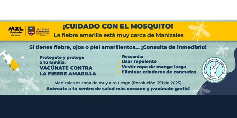 Sin título